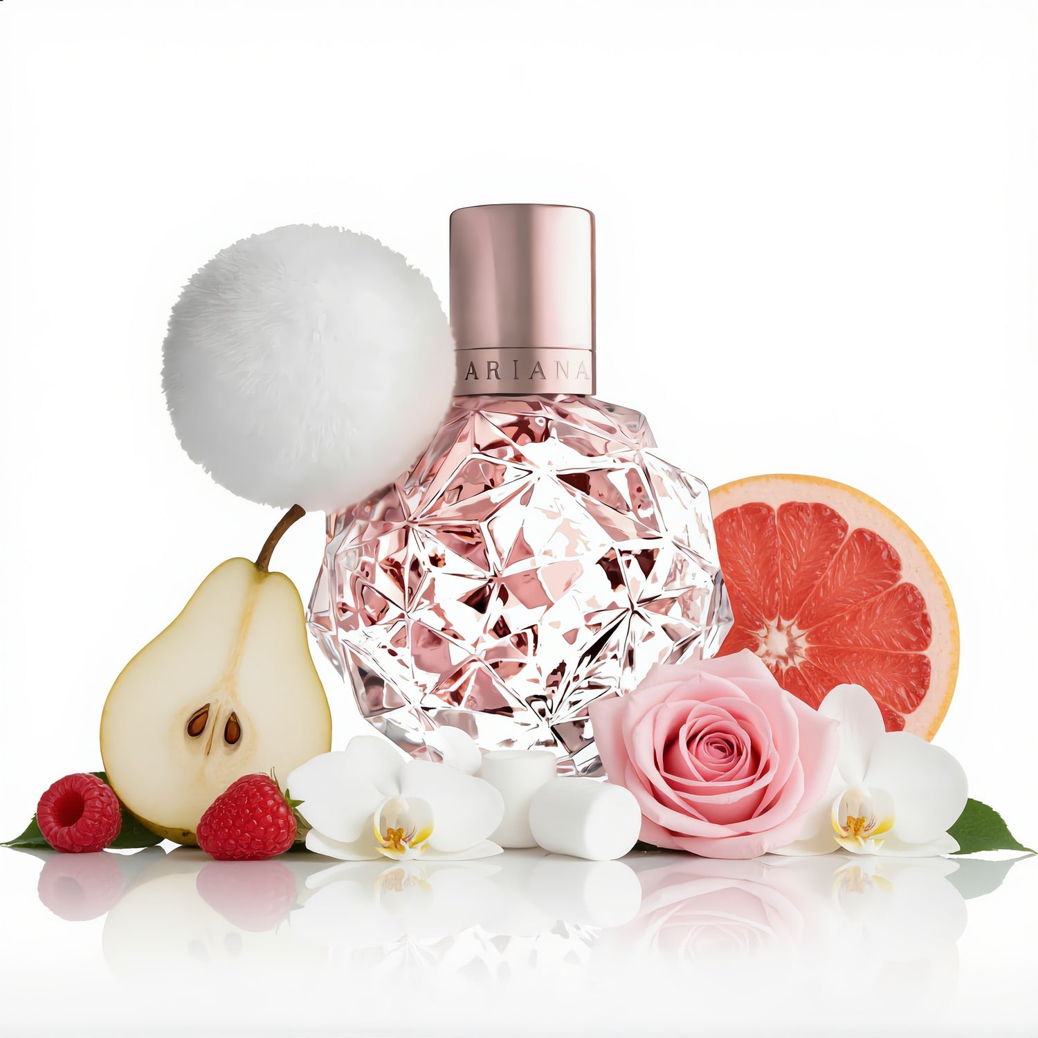 Ari Edp Ariana Grande