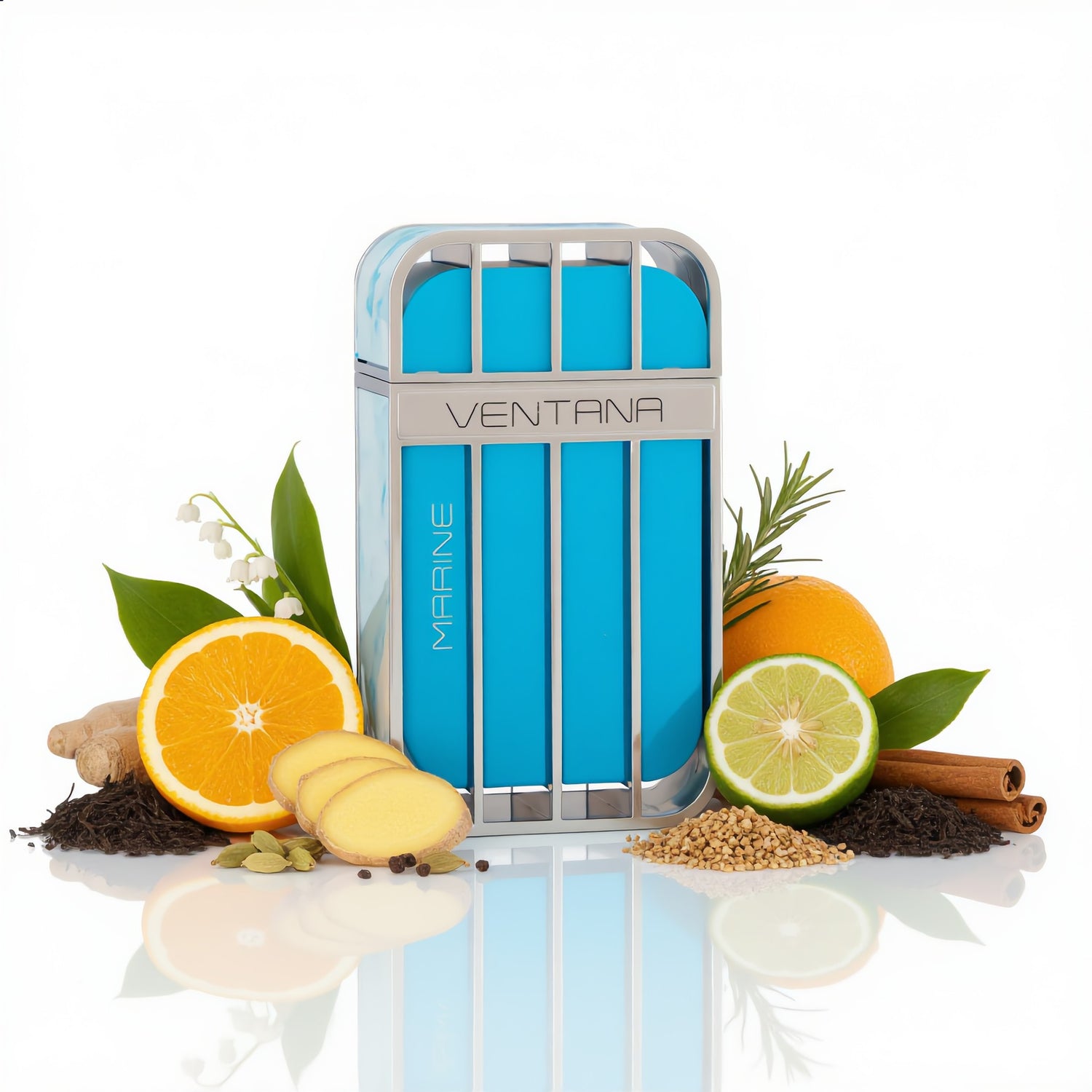 Armaf Ventana Marine Edp 100 ml