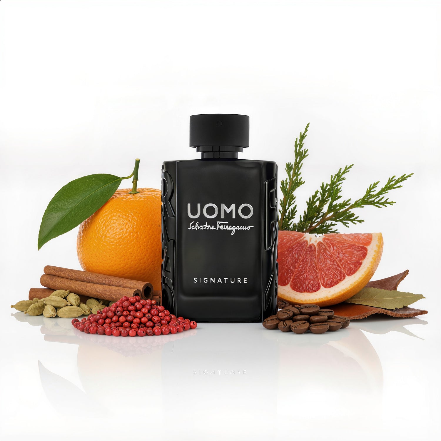 Salvatore Ferragamo Signature Uomo Edp 100ml