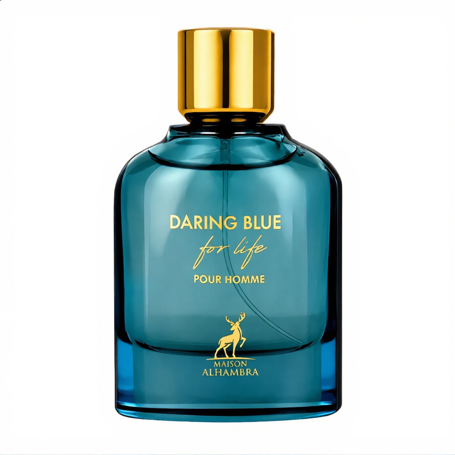 Daring Blue for Life pour Homme Edp 100 ml Maison Alhambra